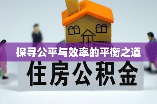平远探寻公平与效率的平衡之道