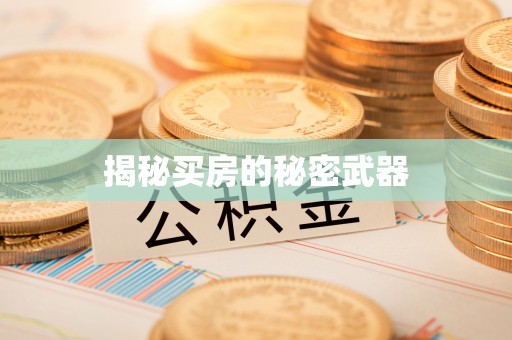 平远揭秘买房的秘密武器