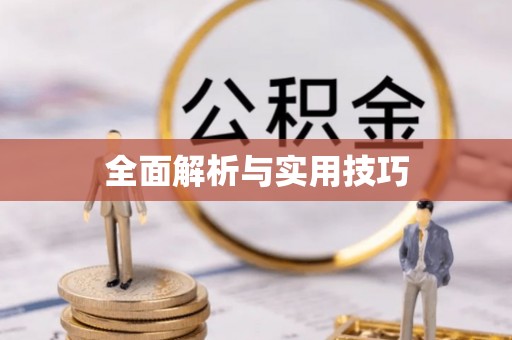 平远全面解析与实用技巧