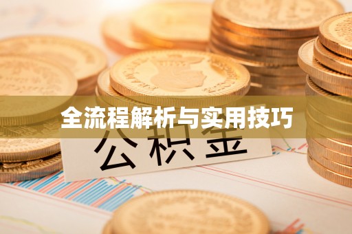 平远全流程解析与实用技巧