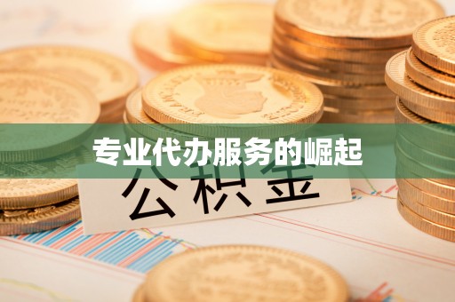 平远专业代办服务的崛起