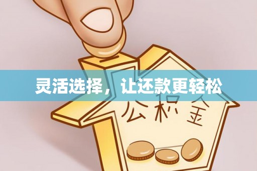 平远灵活选择，让还款更轻松