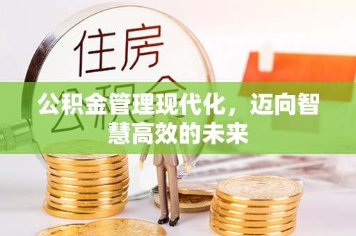平远公积金管理现代化，迈向智慧高效的未来