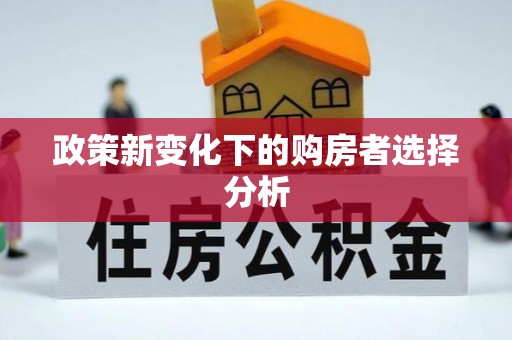 平远政策新变化下的购房者选择分析