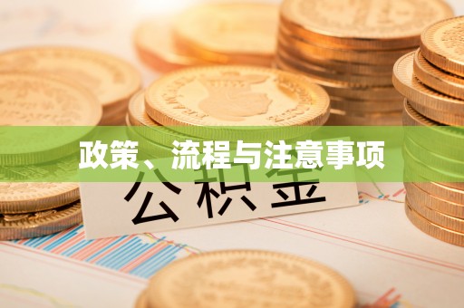平远政策、流程与注意事项