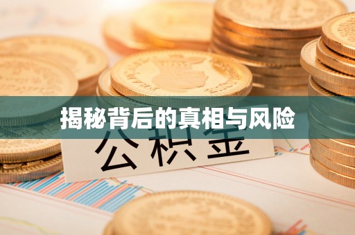 平远揭秘背后的真相与风险