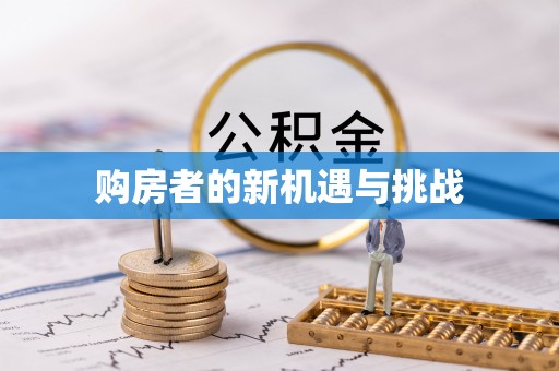 平远购房者的新机遇与挑战