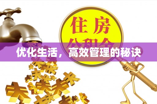 平远优化生活，高效管理的秘诀