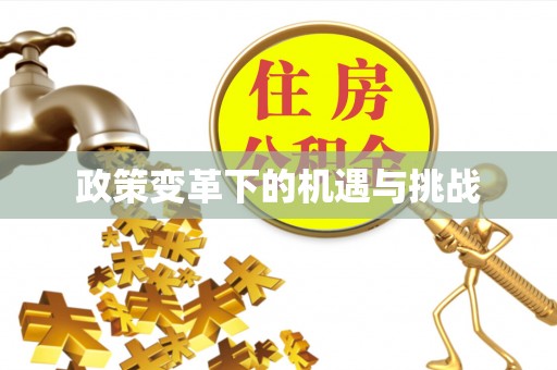 平远政策变革下的机遇与挑战