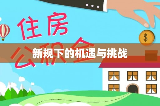 平远新规下的机遇与挑战