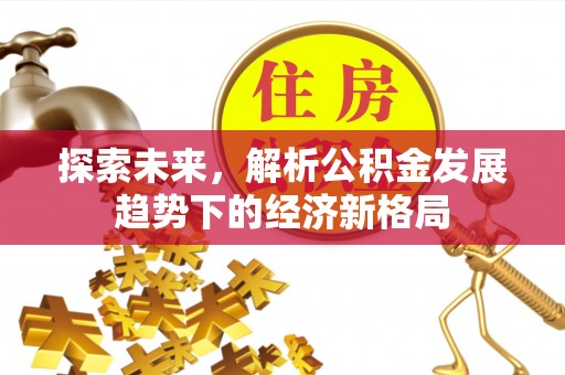平远探索未来，解析公积金发展趋势下的经济新格局