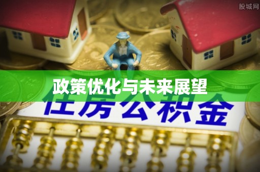 平远政策优化与未来展望