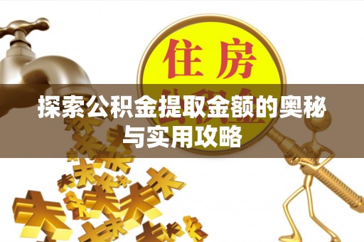 平远探索公积金提取金额的奥秘与实用攻略