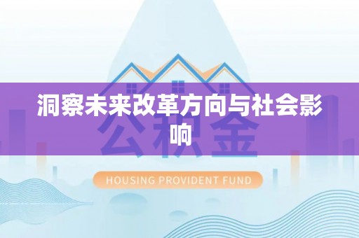 平远洞察未来改革方向与社会影响