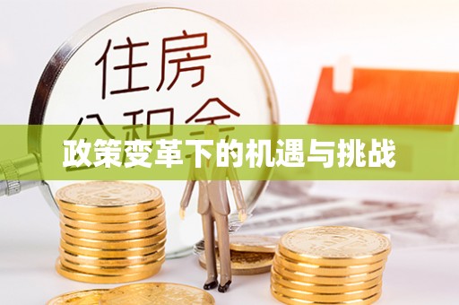 平远政策变革下的机遇与挑战