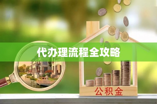 平远代办理流程全攻略