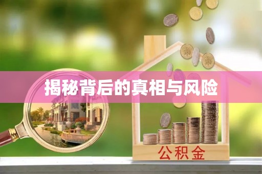 平远揭秘背后的真相与风险