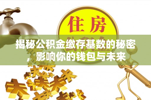 平远揭秘公积金缴存基数的秘密，影响你的钱包与未来