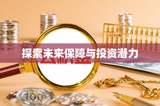 平远探索未来保障与投资潜力