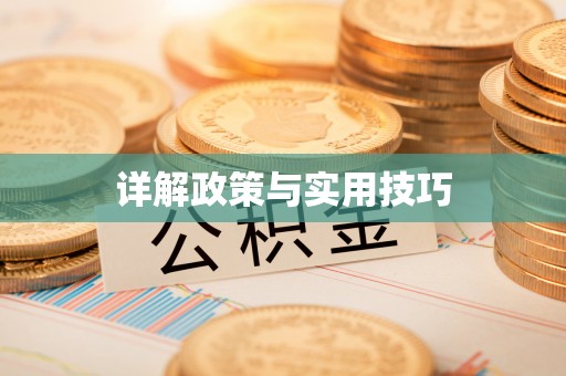 平远详解政策与实用技巧