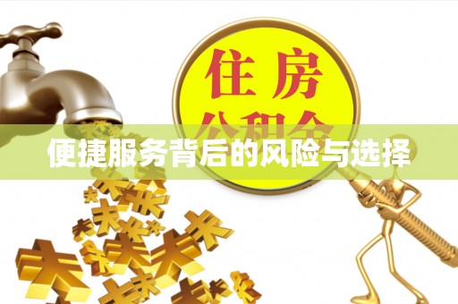 平远便捷服务背后的风险与选择