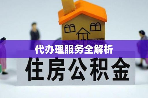 平远代办理服务全解析