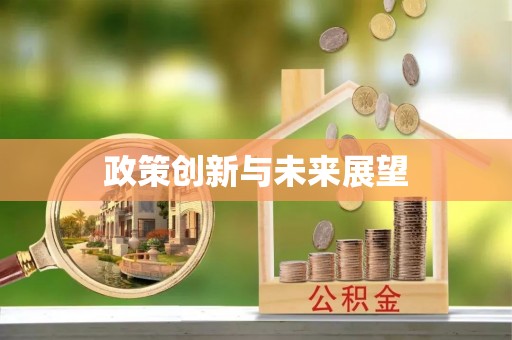 平远政策创新与未来展望